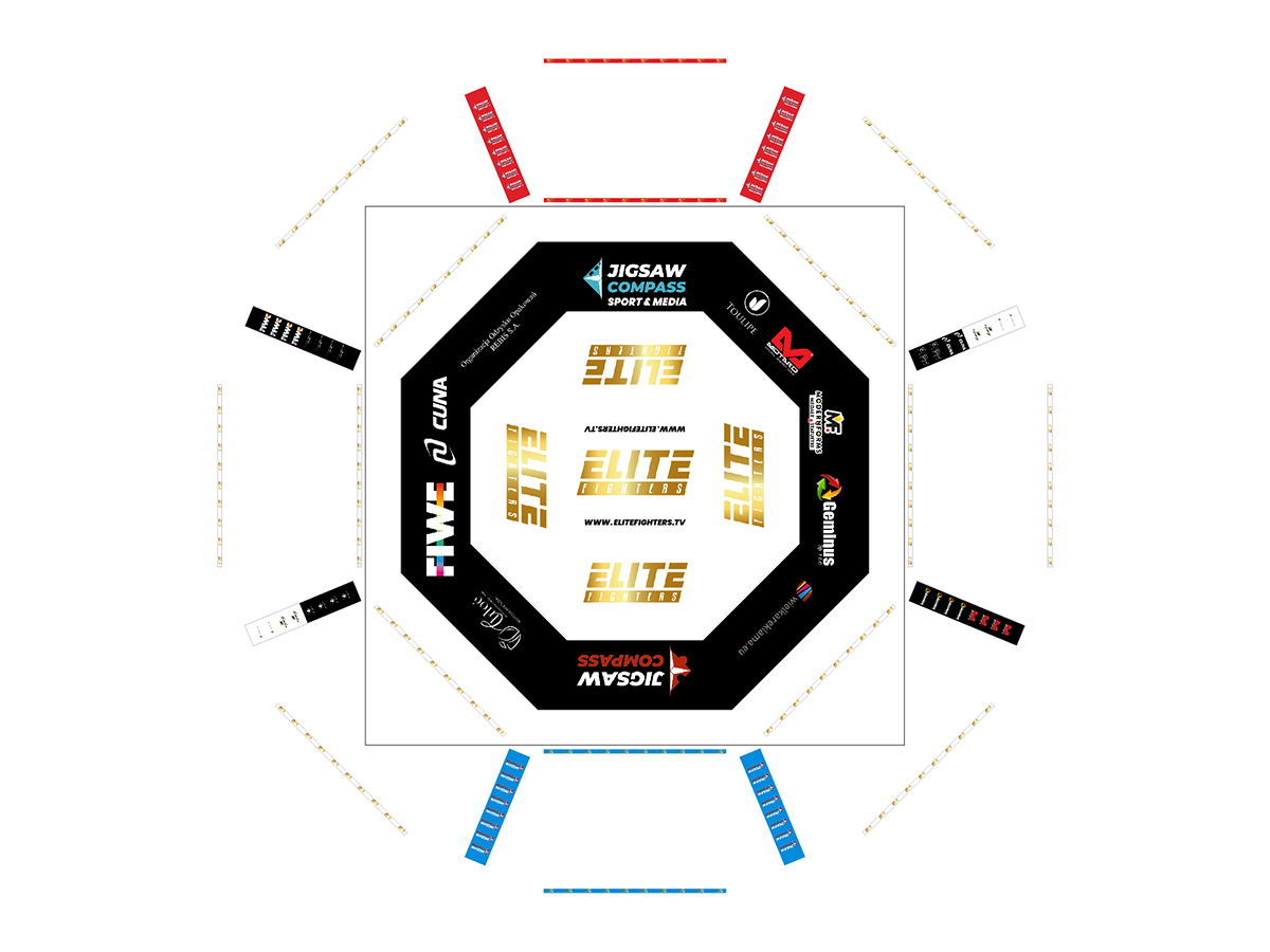 Elite Fighters – projekt oktagonu MMA